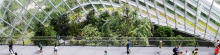 Prof Lily Kong - 3 keys to building resilient and human-centred cities. Banner showing Singapore landscape and green architecture