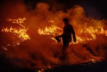 We're in a climate casino. Here's how to fight against the odds