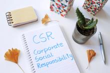 Saintly moves: Why companies use corporate social responsibility as a halo strategy