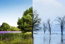 The realities of green recovery in a drawn-out pandemic