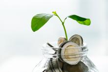 Why rewarding sustainable behaviour with money is a bad idea