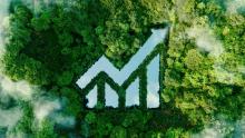 4 takeaways from COP26 that will impact business in Asia
