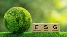 5 Steps business families can take to boost sustainability