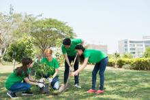 The role of human psychology in combatting climate change cover banner