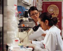 Embracing femininity in STEM: Understanding how women can thrive in male-dominated industries