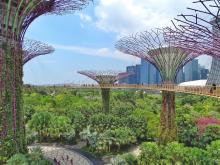 Sustainable city