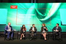 Green Horizons: Navigating Asia's Path to Sustainability and Resilience