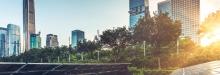 Bring back nature: How regenerative cities make cities more liveable