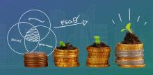 Sustainable Finance and 3 tips for navigating Greenwashing