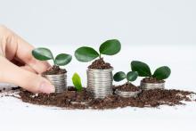 Investing in Tomorrow's Cities: How to Make Climate Adaptation (Truly) Rewarding