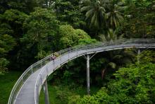 Are ‘green’ loans really good for the planet?: How Singapore can protect its biodiversity for a credible transition