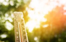 A photo of a bottom-to-top view of a thermometer with condensation droplets around itself on the left, amidst some trees and a bright sunlight covering most of the right side.