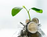 Why rewarding sustainable behaviour with money is a bad idea