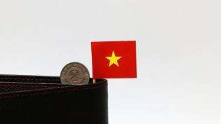 Vietnam economy.jpg